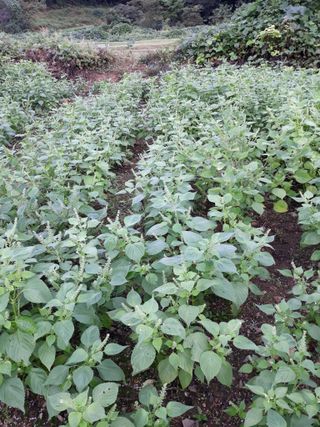 조동원님의 자유주제 · 자유게시판 작성글 사진