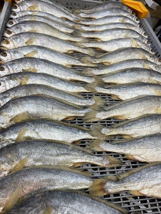 임성환님의 장터이야기 · 자유게시판 작성글 사진