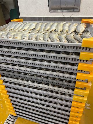 임성환님의 장터이야기 · 자유게시판 작성글 사진