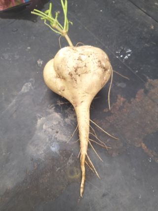 유석범님의 작성글 사진