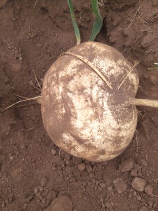 유석범님의 작성글 사진