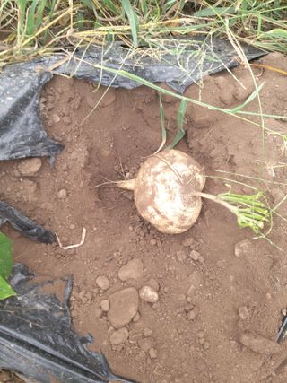 유석범님의 작성글 사진