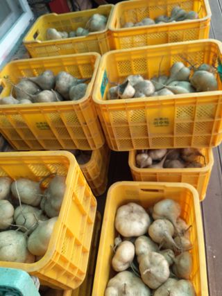 유석범님의 작성글 사진