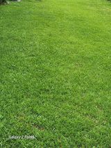 팜모닝 윷놀이 끝! 어떠셨나요?·참여글 게시글 이미지