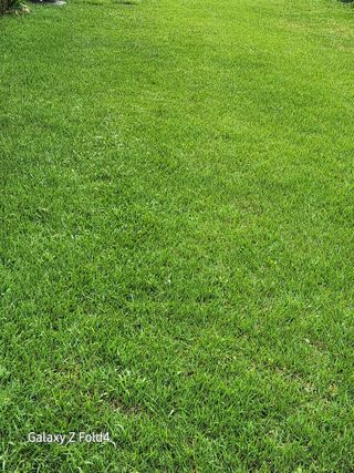 이훈정(시몬)님의 윷놀이 끝! 어떠셨나요? · 참여글 작성글 사진