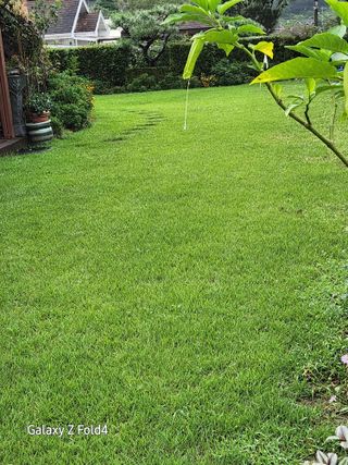 이훈정(시몬)님의 윷놀이 끝! 어떠셨나요? · 참여글 작성글 사진