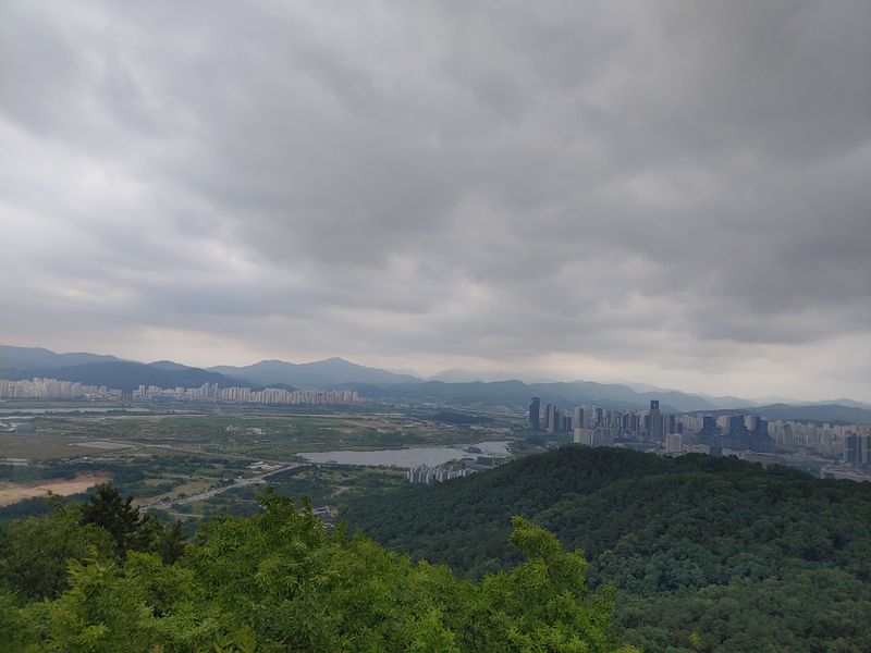 장터 상품 [무더위 건강 잘챙기세요~^^] 썸네일