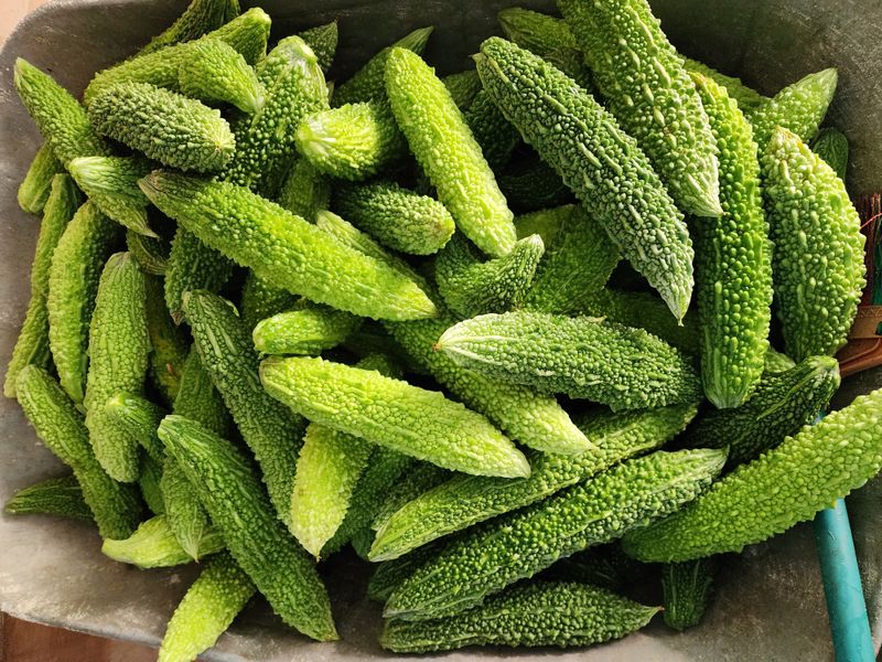 천안 병천 어성초 님의 장터 판매 상품 [건여주 1키로 택배비 포함 36.000 ] 첨부 사진