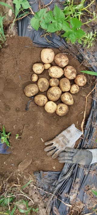 양헌국님의 작성글 사진
