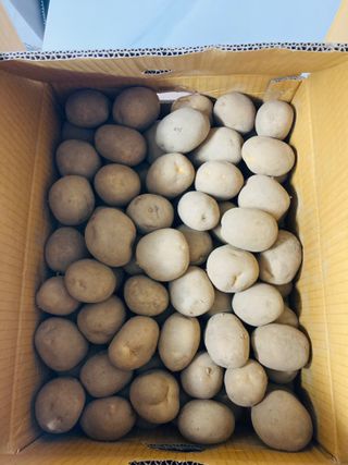 양헌국님의 작성글 사진