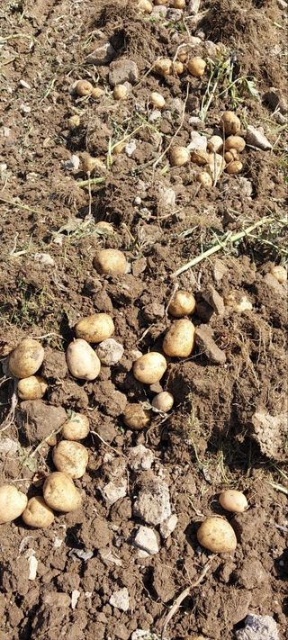 양헌국님의 작성글 사진