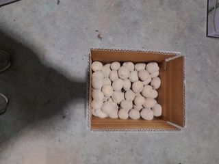 양헌국님의 작성글 사진