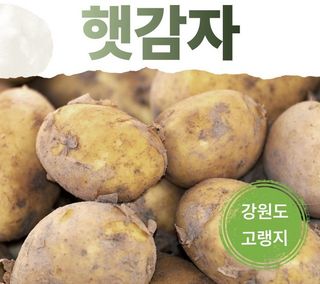 양헌국님의 작성글 사진