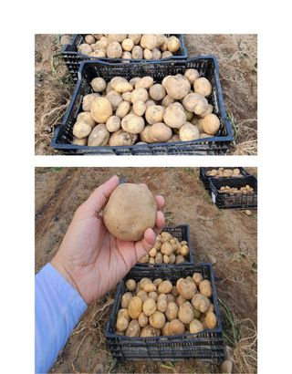 양헌국님의 작성글 사진