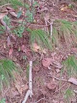 팜모닝 자유주제·자유게시판 게시글 이미지