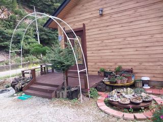 김정술님의 자유주제 · 자유게시판 작성글 사진