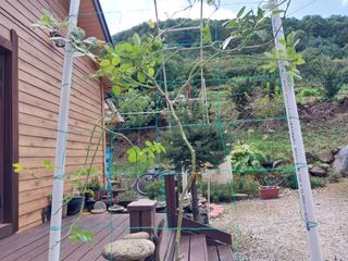 김정술님의 자유주제 · 자유게시판 작성글 사진