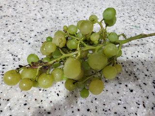 김나영 (천일염소금님의 자유주제 · 자유게시판 작성글 사진