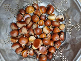 정석범님의 기타작물 · 병해충상담 작성글 사진