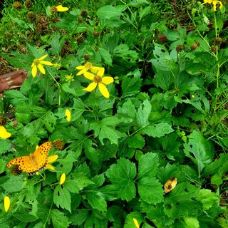 ,kim님의 기타작물 · 자유게시판 작성글 사진