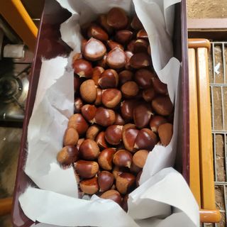 오정석님의 기타작물 · 영농일지 작성글 사진