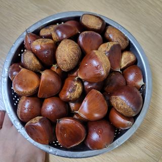 오정석님의 기타작물 · 영농일지 작성글 사진