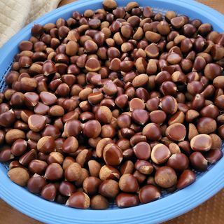 오정석님의 기타작물 · 영농일지 작성글 사진