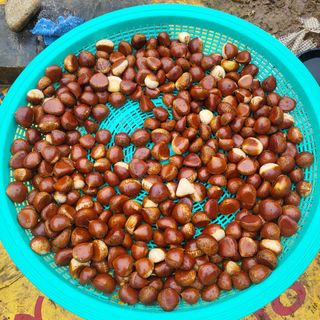 오정석님의 기타작물 · 영농일지 작성글 사진