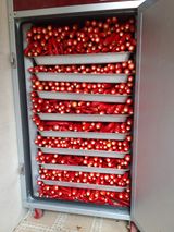 팜모닝 고추·수확 게시글 이미지