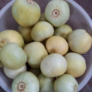 윤충기님의 자유주제 · 자유게시판 작성글 사진