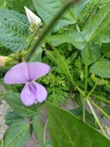 팜모닝 자유주제·자유게시판 게시글 이미지