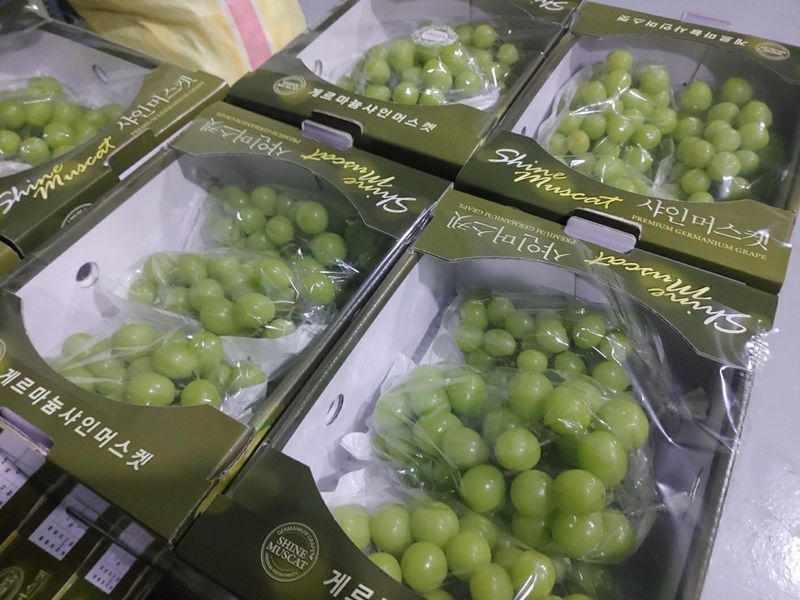 장터 상품 [샤인머스켓 2kg] 썸네일