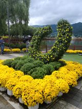 팜모닝 윷놀이 끝! 어떠셨나요?·참여글 게시글 이미지