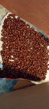 팜모닝 윷놀이 끝! 어떠셨나요?·참여글 게시글 이미지