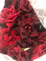 팜모닝 기타작물·병해충상담 게시글 이미지