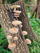 팜모닝 자유주제·자유게시판 게시글 이미지