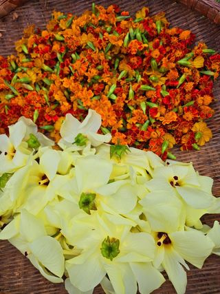 이형록님의 자유주제 · 자유게시판 작성글 사진