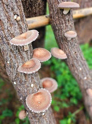 이형록님의 자유주제 · 자유게시판 작성글 사진