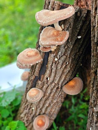 이형록님의 자유주제 · 자유게시판 작성글 사진