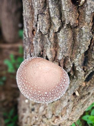 이형록님의 자유주제 · 자유게시판 작성글 사진