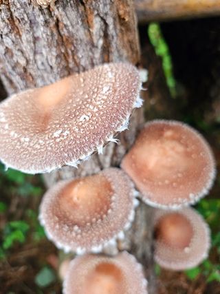 이형록님의 자유주제 · 자유게시판 작성글 사진