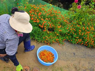 이형록님의 자유주제 · 자유게시판 작성글 사진