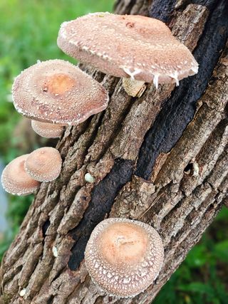 이형록님의 자유주제 · 자유게시판 작성글 사진