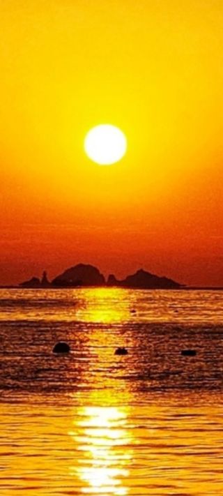 (상무대)님의 윷놀이 끝! 어떠셨나요? · 참여글 작성글 사진