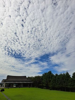 들깨(이희섭)님의 윷놀이 끝! 어떠셨나요? · 참여글 작성글 사진