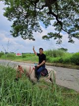 팜모닝 윷놀이 끝! 어떠셨나요?·참여글 게시글 이미지
