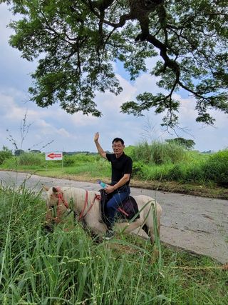 왕머슴님의 윷놀이 끝! 어떠셨나요? · 참여글 작성글 사진
