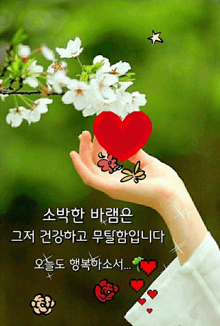 천성을향하여님의 윷놀이 끝! 어떠셨나요? · 참여글 작성글 사진