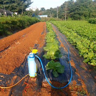 박광현님의 자유주제 · 사진전 작성글 사진
