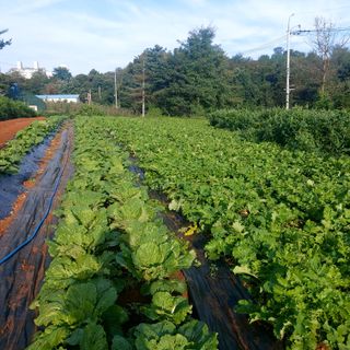 박광현님의 자유주제 · 사진전 작성글 사진